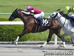 カラーパネル2016年5月21日京都10R シドニーT(ワディ)