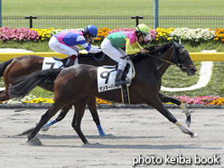 カラーパネル2016年5月21日東京1R 3歳未勝利(サンダーバトル)