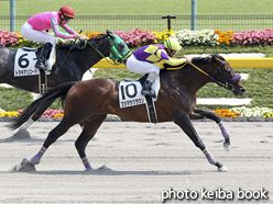 カラーパネル2016年5月21日東京7R 4歳上500万下(フジマサクラウン)