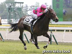 カラープリント(アルミ枠付き)2016年5月21日新潟2R 3歳未勝利(ヒメタチバナ)