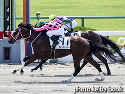 カラーパネル2016年5月22日京都2R 3歳未勝利(ライトフォーミー)