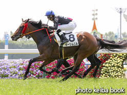 カラープリント(アルミ枠付き)2016年5月22日京都3R 3歳未勝利(ゼーリムニル)