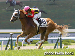 カラーパネル2016年5月22日京都4R 3歳未勝利(ラグナグ)