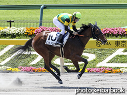 カラーパネル2016年5月22日東京1R 3歳未勝利(ピントゥリッキオ)