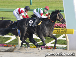 カラープリント(アルミ枠付き)2016年5月22日東京12R 丹沢ステークス(エルマンボ)