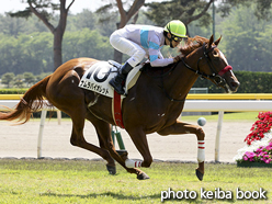 カラープリント(アルミ枠付き)2016年5月22日新潟2R 3歳未勝利(ナムラバイオレット)