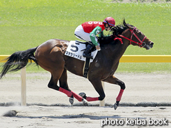 カラープリント(アルミ枠なし)2016年5月22日新潟3R 3歳未勝利(マテラリードル)