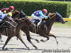 カラープリント(アルミ枠なし)2016年5月22日新潟6R 4歳上500万下(トミケンキルカス)