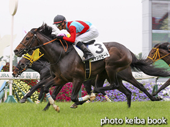 カラーパネル2016年5月28日京都3R 3歳未勝利(キャンドヒート)