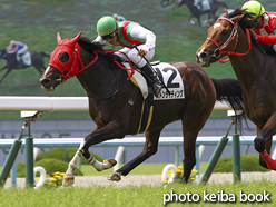 カラープリント(アルミ枠なし)2016年5月29日京都2R 3歳未勝利(ストンライティング)