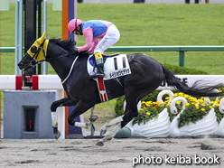 カラープリント(アルミ枠付き)2016年5月29日京都4R 障害未勝利(メイショウヒデタダ)