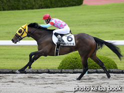 カラープリント(アルミ枠なし)2016年6月4日阪神1R 3歳未勝利(エルパンドール)