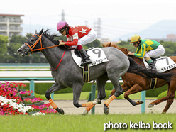 カラーパネル2016年6月4日阪神5R 2歳新馬(レッドラシーマ)