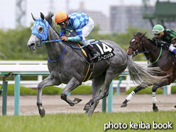 カラーパネル2016年6月4日阪神9R 戎橋特別(スノーエンジェル)