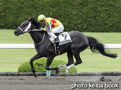 カラーパネル2016年6月5日阪神1R 3歳未勝利(マルクデラポム)