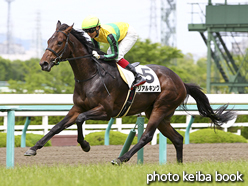 カラープリント(アルミ枠なし)2016年6月5日阪神7R 3歳上500万下(リアルキング)