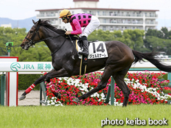 カラープリント(アルミ枠付き)2016年6月11日阪神4R 3歳未勝利(ジェルミナーレ)