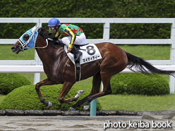 カラープリント(アルミ枠付き)2016年6月11日阪神7R 3歳上500万下(マイティティー)