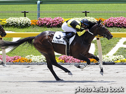 カラープリント(アルミ枠付き)2016年6月11日東京3R 3歳未勝利(サノノカガヤキ)