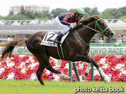 カラーパネル2016年6月11日東京6R 3歳未勝利(サンクロワ)