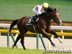 カラーパネル2016年6月11日東京9R 江の島特別(ミッキージョイ)