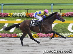 カラープリント(アルミ枠なし)2016年6月11日東京10R 八王子特別(ワトソンクリック)