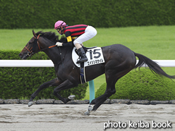 カラープリント(アルミ枠なし)2016年6月12日阪神2R 3歳未勝利(エイシンミサイル)