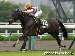 カラーパネル2016年6月12日阪神11R マーメイドステークス(リラヴァティ)