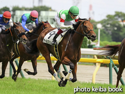 カラーパネル2016年6月12日東京8R 3歳上500万下(アールブリュット)