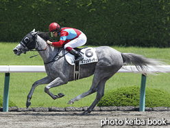 カラーパネル2016年6月18日阪神2R 3歳未勝利(ネフェルティティ)