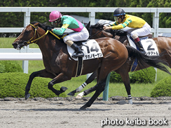 カラーパネル2016年6月18日阪神3R 3歳未勝利(タガノモーサン)