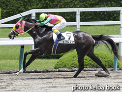 カラーパネル2016年6月18日阪神4R 3歳未勝利(ヒダロマン)