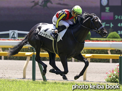 カラーパネル2016年6月18日東京1R 2歳未勝利(ホットセット)