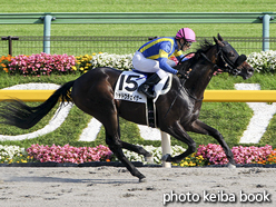 カラープリント(アルミ枠付き)2016年6月18日東京12R 3歳上500万下(シャドウチェイサー)