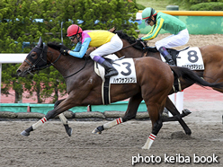 カラープリント(アルミ枠なし)2016年6月18日函館1R 3歳未勝利(ハヤブサプリプリ)