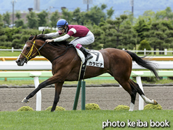 カラープリント(アルミ枠なし)2016年6月18日函館6R 3歳未勝利(カラビナ)