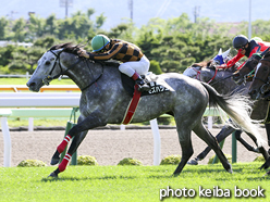 カラープリント(アルミ枠付き)2016年6月18日函館11R HTB杯(モズハツコイ)