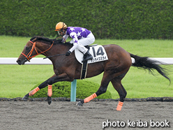 カラープリント(アルミ枠付き)2016年6月19日阪神2R 3歳未勝利(サンライズミライ)