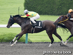 カラープリント(アルミ枠なし)2016年6月19日阪神10R 三宮ステークス(ビリオネア)