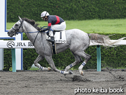 カラープリント(アルミ枠付き)2016年6月19日阪神12R 3歳上500万下(ステイチューン)