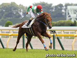 カラーパネル2016年6月19日東京3R 3歳未勝利(シンボリラパス)