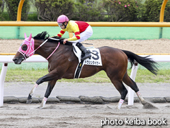 カラーパネル2016年6月19日函館4R 3歳未勝利(トウシンタイガー)