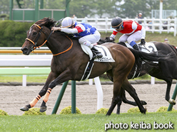 カラーパネル2016年6月19日函館8R 3歳上500万下(トロピカルガーデン)