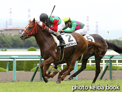 カラープリント(アルミ枠なし)2016年6月25日阪神1R 2歳未勝利(シゲルボブキャット)