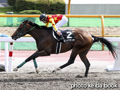 カラーパネル2016年6月25日函館11R 大沼ステークス(モンドクラッセ)