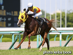 カラーパネル2016年6月26日阪神9R 皆生特別(キーナンバー)