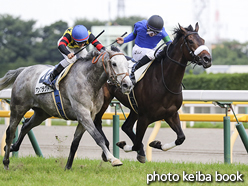 カラープリント(アルミ枠付き)2016年6月26日東京12R 3歳上500万下(レトロクラシック)