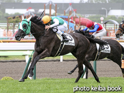 カラープリント(アルミ枠なし)2016年6月26日函館2R 3歳未勝利(ヤマカツサファイヤ)