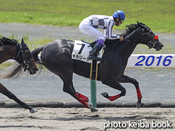 カラーパネル2016年7月2日中京2R 3歳未勝利(チカリータ)