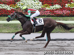 カラーパネル2016年7月2日福島12R 3歳上500万下(ベルウッドケルン)